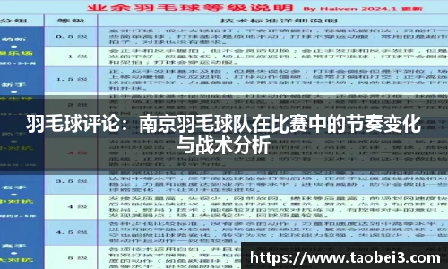 羽毛球评论：南京羽毛球队在比赛中的节奏变化与战术分析